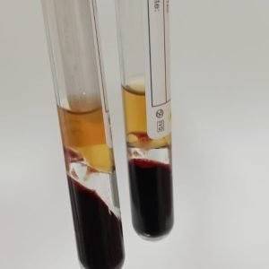 WhatsApp Image 2023-11-13 at 8.32.54 PM