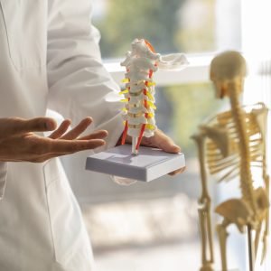 doctor-explicando-vista-frontal-anatomia